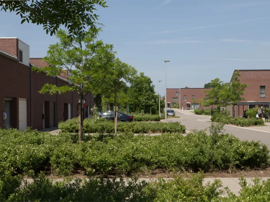 0608-beeld 5