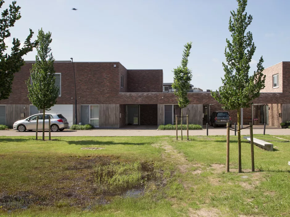 0905-beeld 5