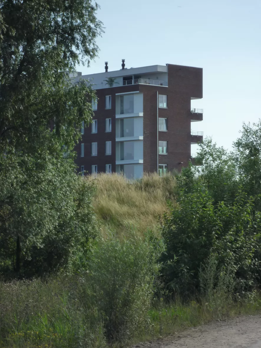 0510-beeld 3
