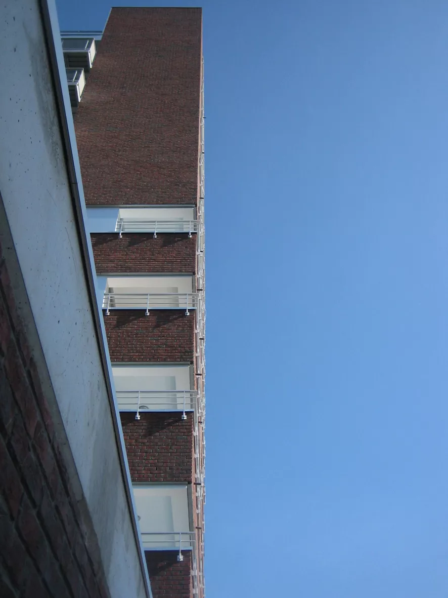 0510-beeld 5