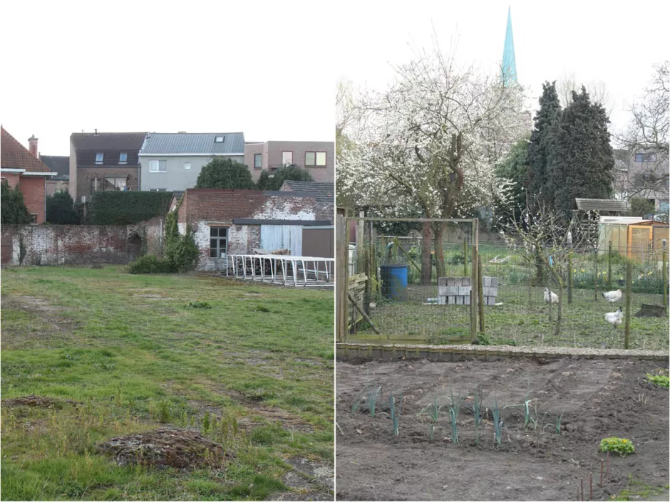 1402-beeld 2