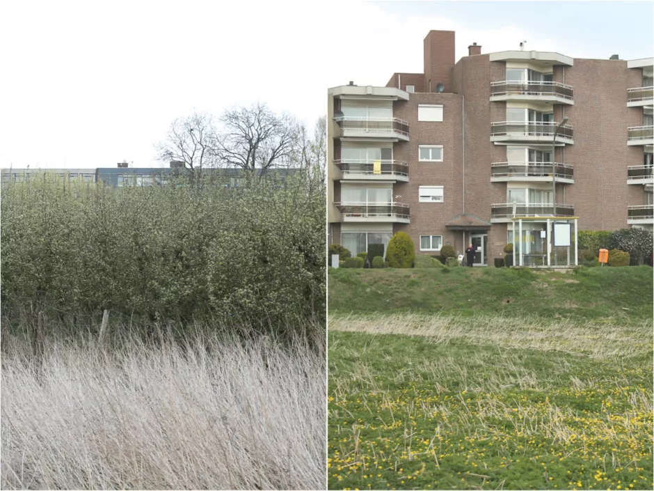 1402-beeld 3