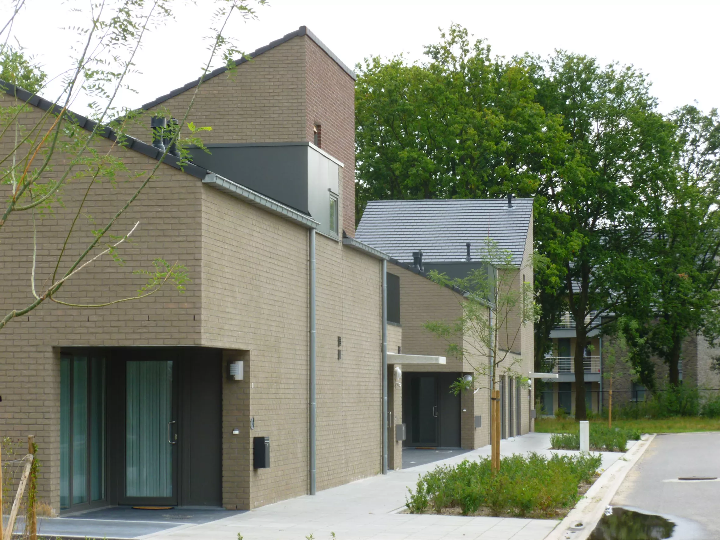 0608-beeld 1